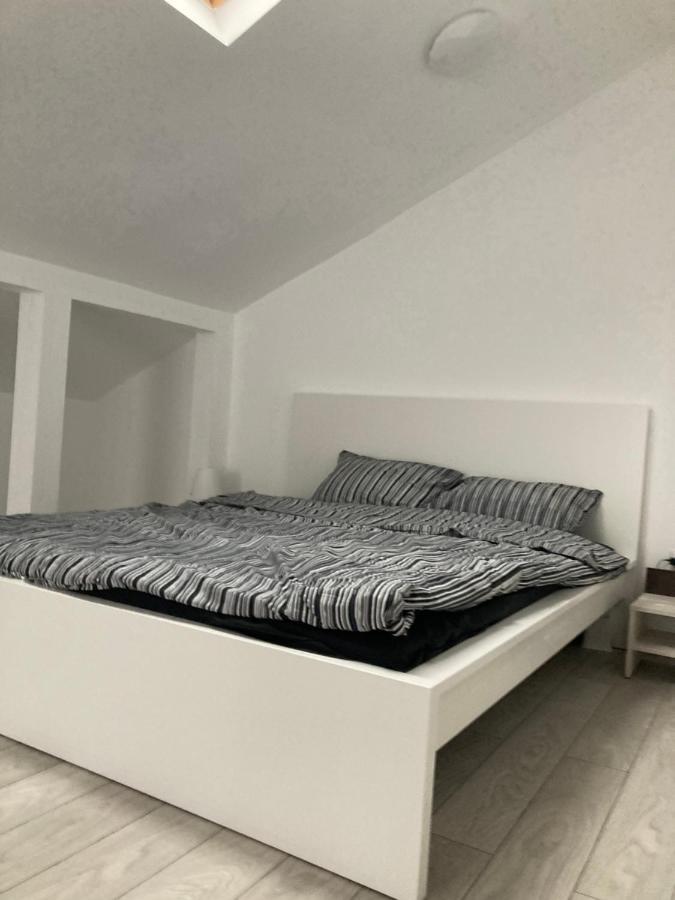 Joygate Entire Villa Otopeni Eksteriør bilde